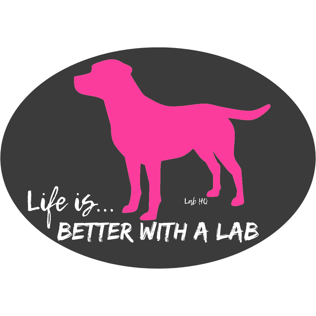 Lab Stickers - Life is Better With A Lab -  Pink & Teal - Labrador Decal  From Lab HQ